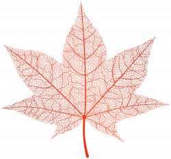 Transparent Red Autumn Leaf PNG Clip Art Image | Gallery ...