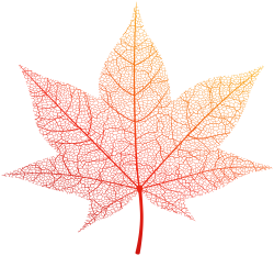 Transparent Orange Autumn Leaf PNG Clip Art Image | Gallery ...