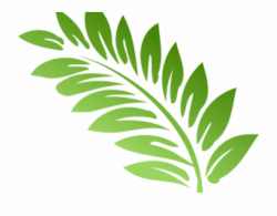 Fern Clipart Foliage - Clip Art Fern Leaf Free PNG Images ...