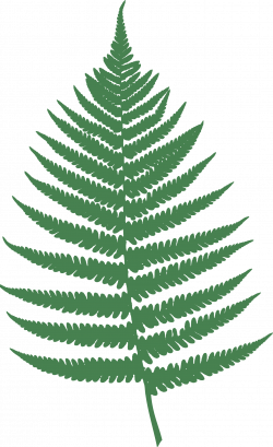 Clipart - Fern leaf