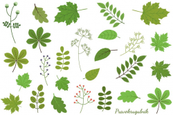 Green leaves clipart set, Spring foliage greenery