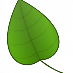 Free Clip Art Green Leaf - Real Clipart And Vector Graphics •