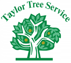 Tree Service Areas | Montgomery, Prattville, Millbrook, Wetumpka ...