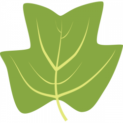 Leaf ID