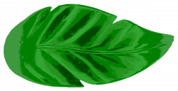 Tropical Leaf Icons PNG - Free PNG and Icons Downloads