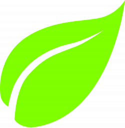 Leaf Icon Clipart - 13523 - TransparentPNG