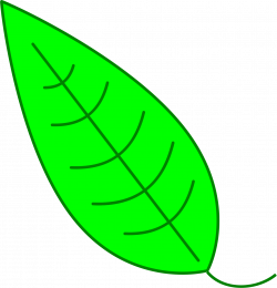Clipart - Leaf - Green Simple Leaf
