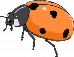 Clipart - Coccinelle, ladybug