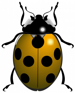 Clipart - ladybug