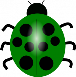 Green Ladybug Clip Art at Clker.com - vector clip art online ...