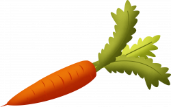 Carrot-with-Green-Leaves-Clipart.png (2542×1595) | Carrots ...