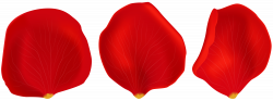 Red Rose Petals Transparent PNG Clip Art | Gallery Yopriceville ...