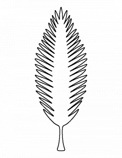 Coconut tree leaf pattern. Use the printable outline for crafts ...