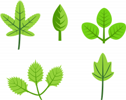 OnlineLabels Clip Art - Set Of Leaves