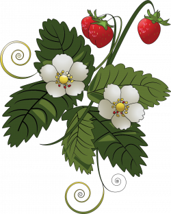 Clipart - Strawberry Plant
