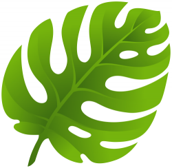 Leaf Clipart | Tropical | Leaf clipart, Leaf stencil, Leaves