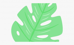 Summer Clipart Leaf #1326076 - Free Cliparts on ClipartWiki