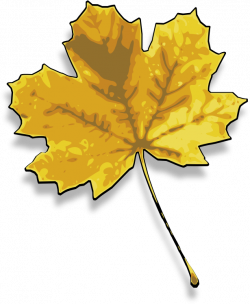 Clipart - maple leaf 2