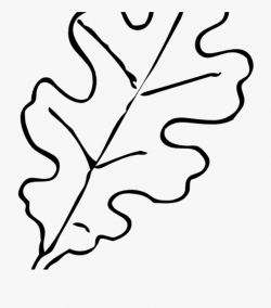 Leaf Clipart Black And White Fall Leaf Template Oak - Oak ...