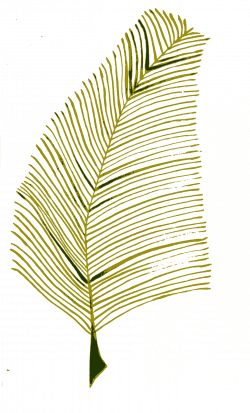 Clipart - Calligraphic Illustration- Leaf, Twig, Plant- 2