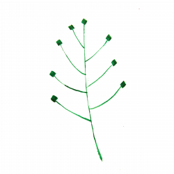 Clipart - Calligraphic Illustration- Leaf, Twig, Plant- 1