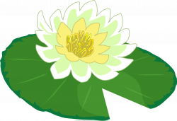 28+ Collection of Water Lily Leaf Clipart | High quality, free ...