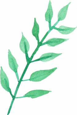 Stem Of A Plant PNG Transparent Stem Of A Plant.PNG Images. | PlusPNG