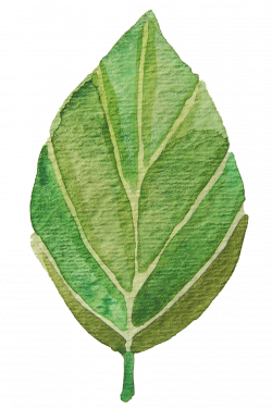 leaf green scrapbook - Pesquisa Google | eBook | Pinterest