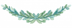 28+ Collection of Leaves Drawing Png | High quality, free cliparts ...
