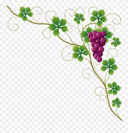 Common Grape Leaves Wine Clip Art Grapes - Png Download ...