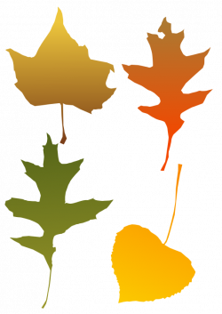 Free Graphics of Trees and Leaves