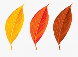 Leaf Clipart Winter - Autumn Leaves Clip Art Png #3702 ...