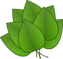 Green Leaves Images | Clipart Panda - Free Clipart Images