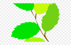 Green Leaves Clipart 5 Leave - Png Download (#2524490 ...
