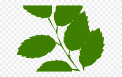 Green Leaves Clipart 5 Leave - Leaves On Twig Clipart - Png ...