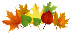 28+ Collection of Fall Leaf Pile Clipart | High quality, free ...