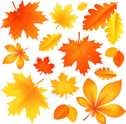 Beautiful autumn Leaves vector 02 download | My Free ...