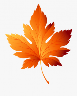 Autumn Leaf Clipart - Transparent Fall Leaf Clipart #6965 ...