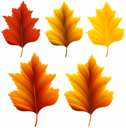 Beautiful Fall Leaves Set PNG Clipart Image | Gallery Yopriceville ...