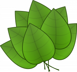 Clipart - Leaves