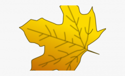 Leaves Clipart Yellow - Big Leaf Clip Art #1065965 - Free ...