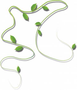 Rattan Cartoon - Vine Man 1262*1474 transprent Png Free Download ...