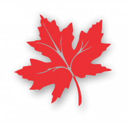 Maple Leaf Clipart kashmir - Free Clipart on Dumielauxepices.net