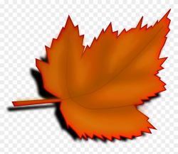 Maple Leaf Clipart November Leaves - Transparent Background ...