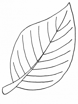Free Printable Leaf Coloring Pages For Kids - ClipArt Best ...