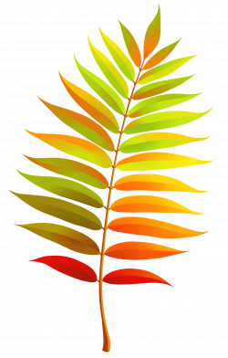 28+ Collection of Transparent Leaf Clip Art | High quality, free ...