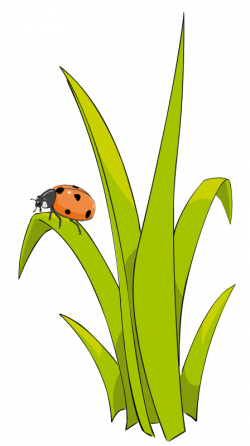 Lawn clipart cute - Pencil and in color lawn clipart cute