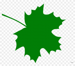 Green Leaves Clipart Clip Art Green - Dark Green Maple Leaf ...