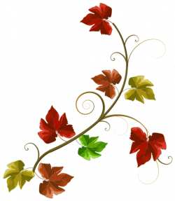 Autumn Leaves Decoration Clipart PNG Image | bahan | Pinterest ...