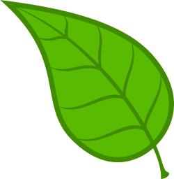 Leaves Leaf Free Download Clip Art On Clipart Library - Leaf Clipart ...